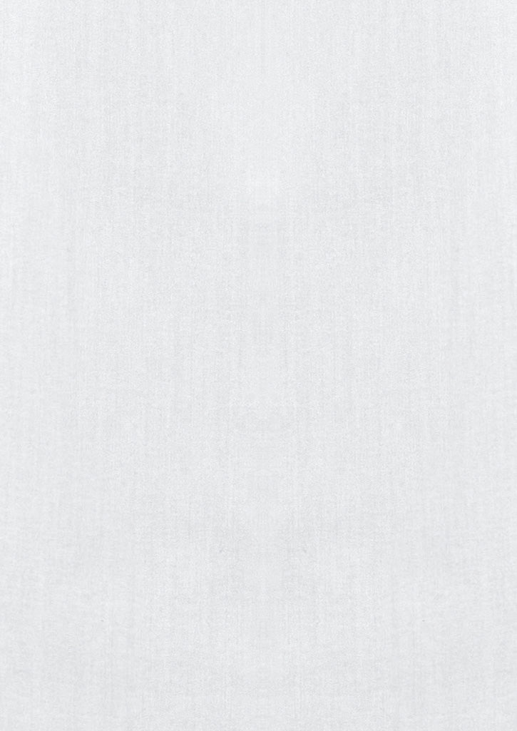 BIZ COLLECTION Mens Monaco Long Sleeve Shirt S770ML