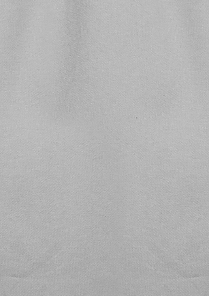 SYZMIK Womens Lightweight Tradie Long Sleeve Shirt ZWL121